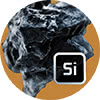 silicon icon
