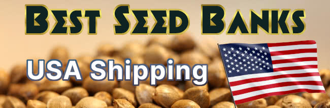top 10 best marijuana seed banks usa shipping banner
