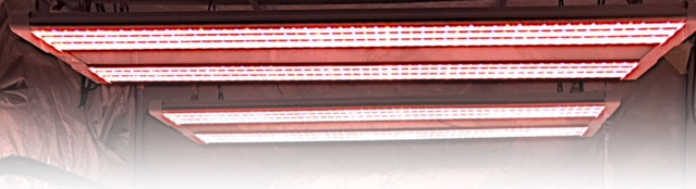 Electric Sky LED review