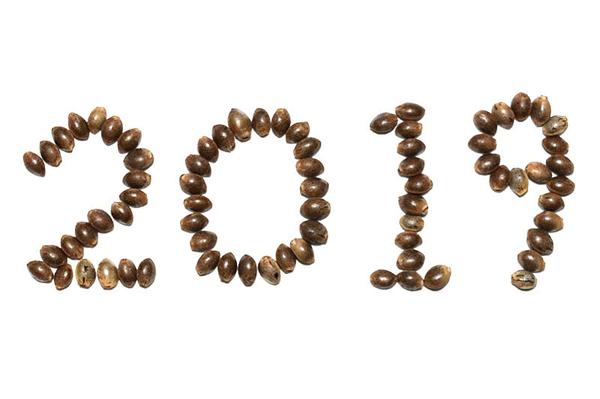 19 New Cannabis Strains for 2019