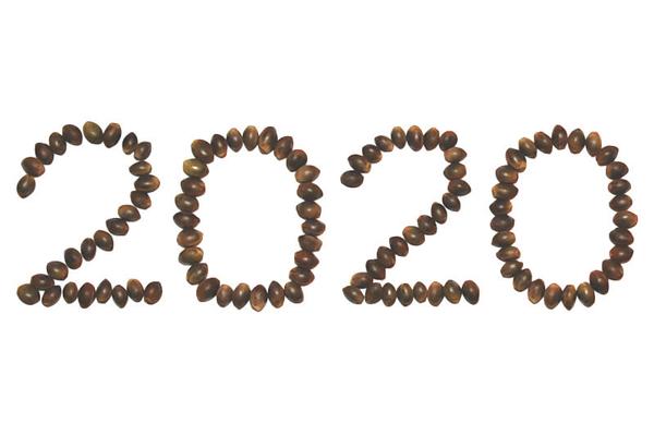 20 New Marijuana Strains for 2020