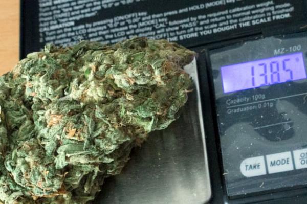 large marijuana bud weighed on digital scale