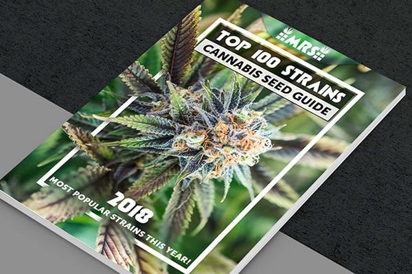 top 100 strains 2018 cannabis seed guide free ebook