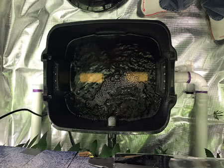 Setting up the DIY hydroponic system: Top view showing water and PVC connections