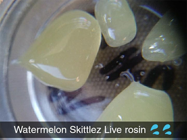 watermelon skittles live rosin
