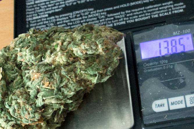Best Scales for Weed + Weight Measurement Charts | Mold Resistant Strains