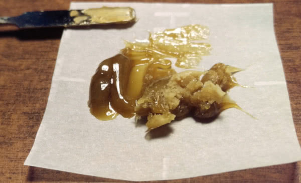 collecting cannabis rosin from the rosin press