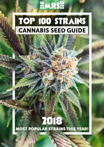 Top 100 Strains Cannabis Seed Guide