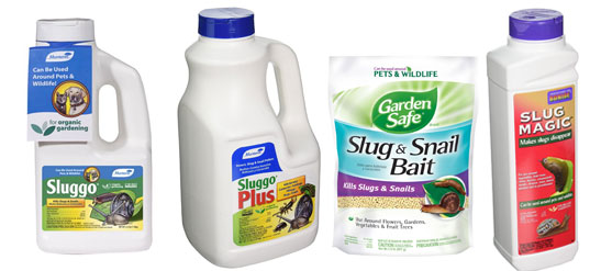 best slug-baits organic