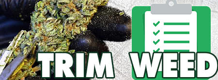 trim weed checklist: harvest supplies, bud trimming scissors and more