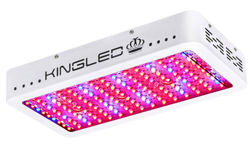 Top 25 Best Led Grow Lights 2020 Mold Resistant Strains