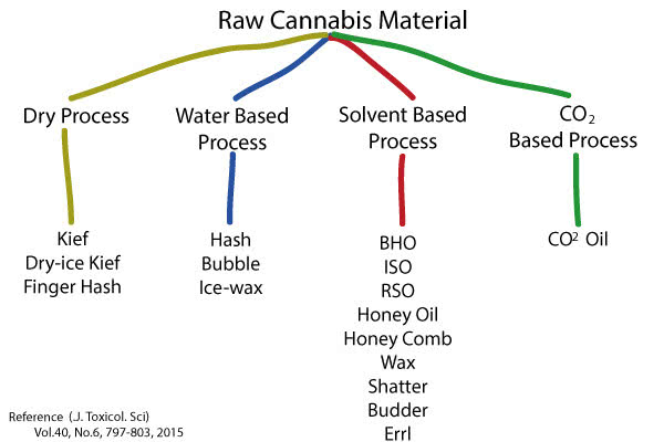 Types of Cannabis Extracts Chart Visual