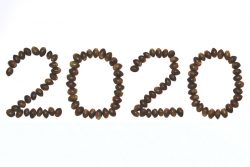 20 New Marijuana Strains for 2020