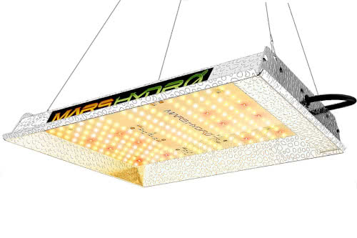 MARS HYDRO TS 600W: Cheapest Best LED Grow Light for Cannabis Growing in 2022