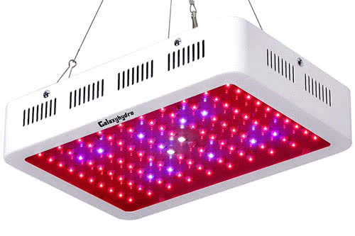 Roleadro LED Grow Light, Galaxyhydro-Series 1000W Good-Affordable