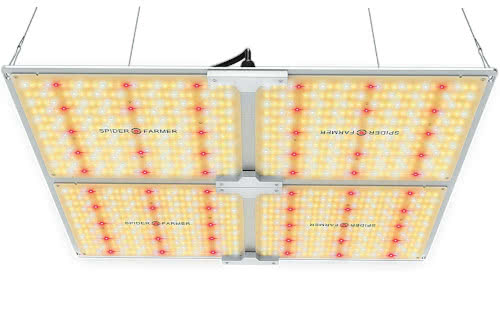 Spider Farmer SF-4000 LED Grow Light Samsung Chips Meanwell Driver: The #1 Best LED Light for Cannabis in 2022