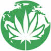 Marijuana Seeds Worldwide Shipping USA included