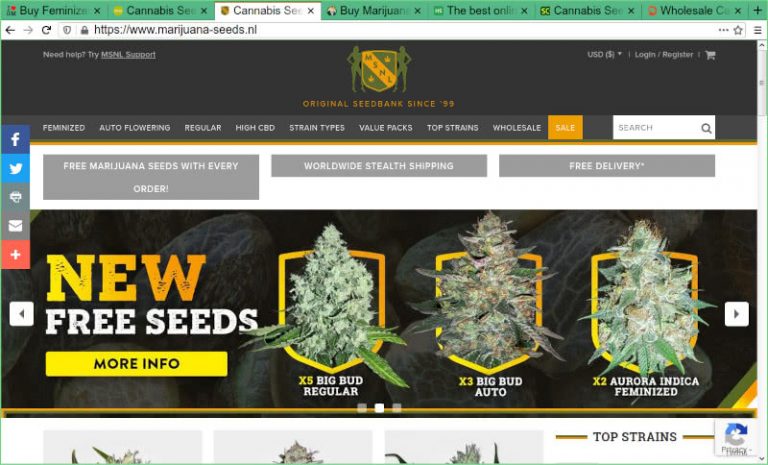 marijuana seed banks that deliver to the usa