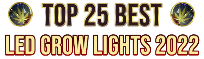 Best LED Grow Lights 2022 List High Times