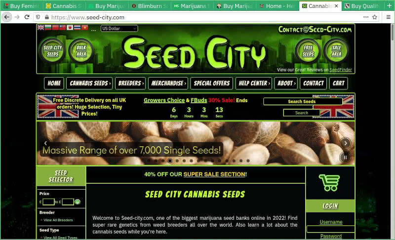 Seed City Seed Bank Review