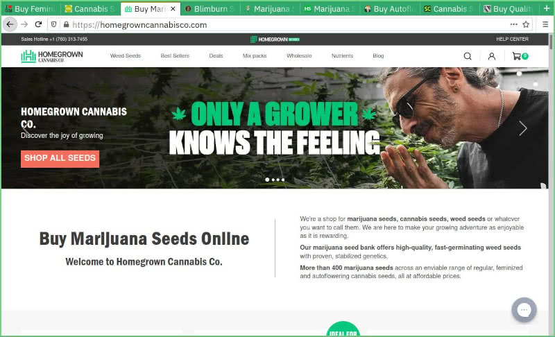 Homegrown Cannabis Co Seed Bank Review