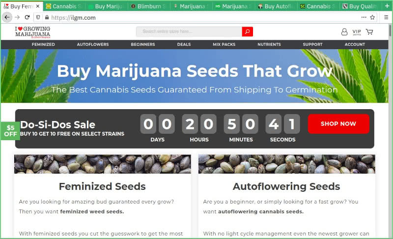 I Love Growing Marijuana (ILGM) Seed Bank Review