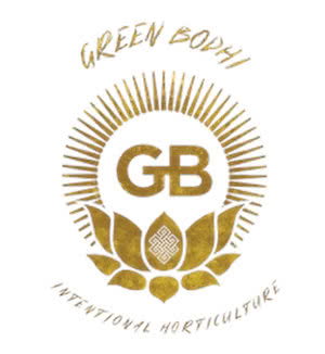 Green Bodhi Logo