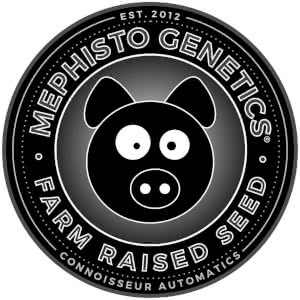 Mephisto Genetics Logo