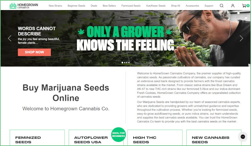 Homegrown Cannabis Co Seed Bank Review