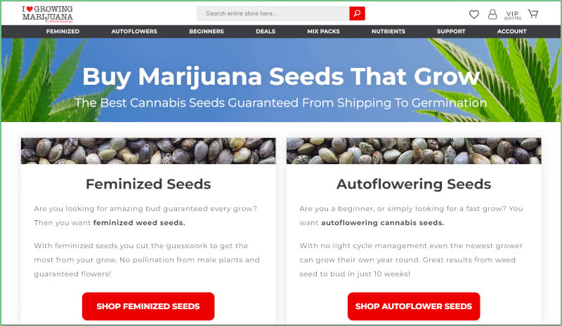 I Love Growing Marijuana (ILGM) Seed Bank Review