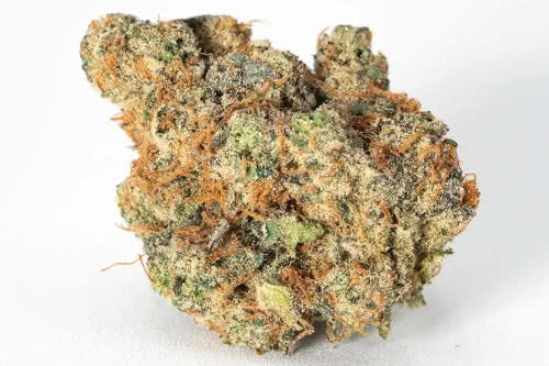 Sour Diesel Feminized Seeds from Seeds Supreme